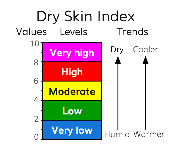 What is the Dry Skin Index (DSI)?